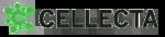 CELLTECA GRAN BAZAR company icon