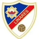 Ayerin Linares company icon