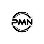 PMN HOLDING company icon