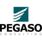Pegaso Consulting C.A company icon