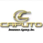 CAPUTO ASOCIADOS CONSULTORIA DE GERENCIA, C.A. company icon