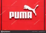 Grupo Puma, C.A company icon